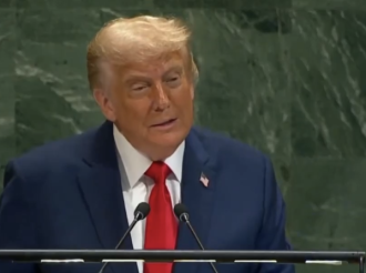 Terroristas en la ONU